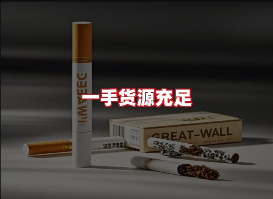 专业团队